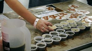 Gingerbread-Stout