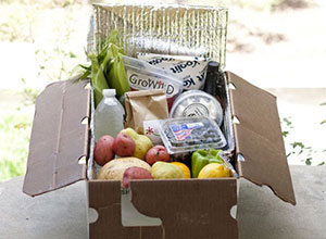 A sample box of goods from Backyard Produce. (Courtesy of Backyard Produce)