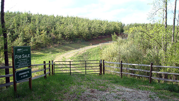MeadWestvaco has this Nelson County tract up for sale. (Photos courtesy of MeadWestvaco