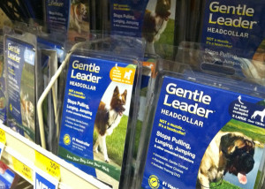 Gentle Leaders were one of the products that helped Premier Pet Products hit it big. (photo by Michael Schwartz)