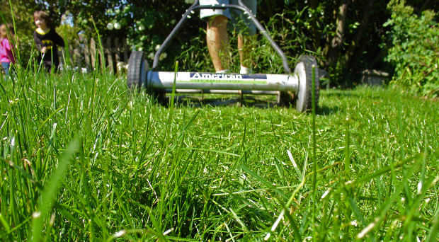 A local startup is hoping to make lawn care less of a hassle. 