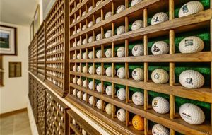 golf ball collection