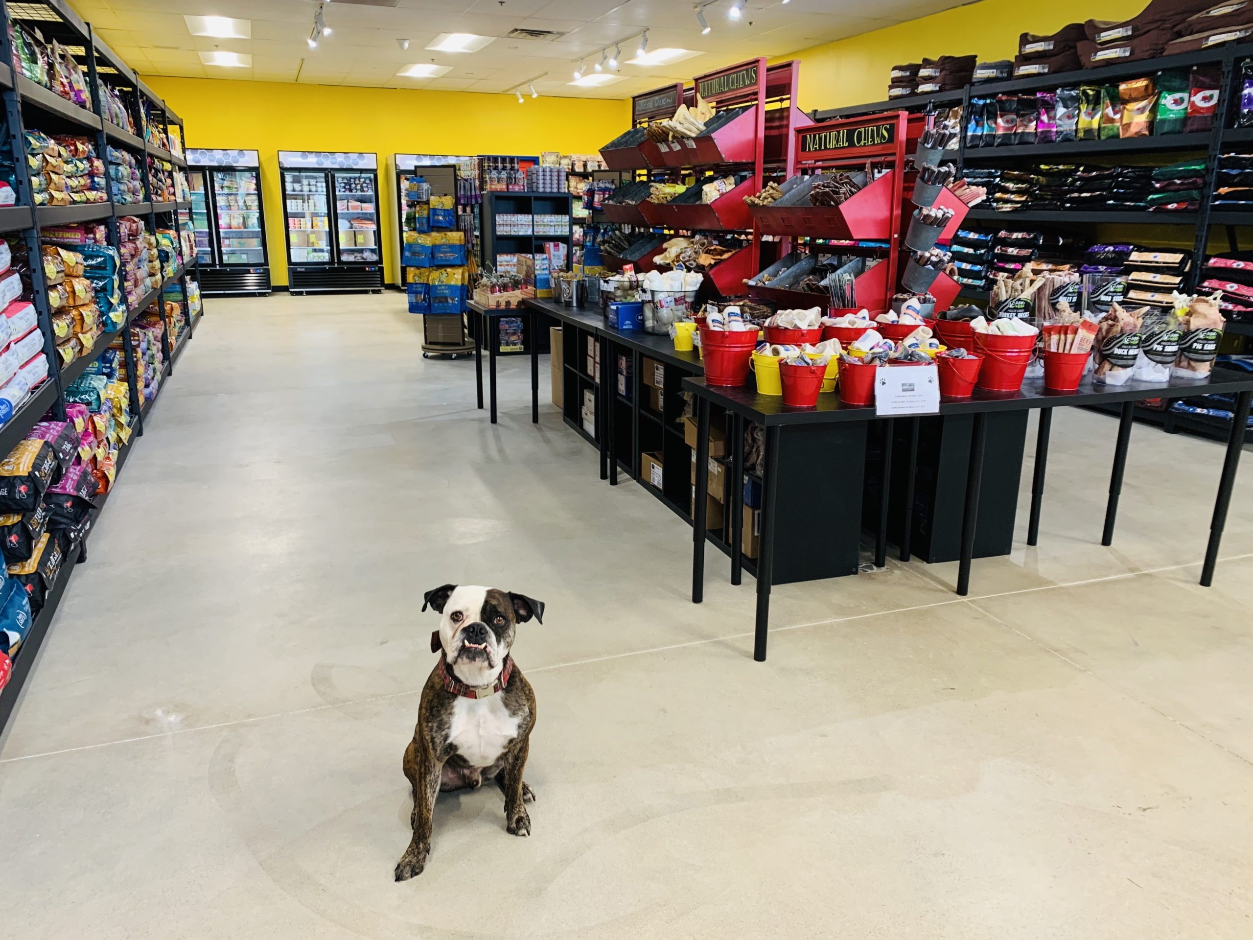 Regional pet store chain adds spot in Short Pump Richmond BizSense